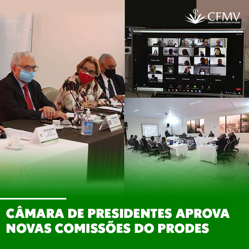 Câmara de Presidentes aprova novas comissões do Prodes