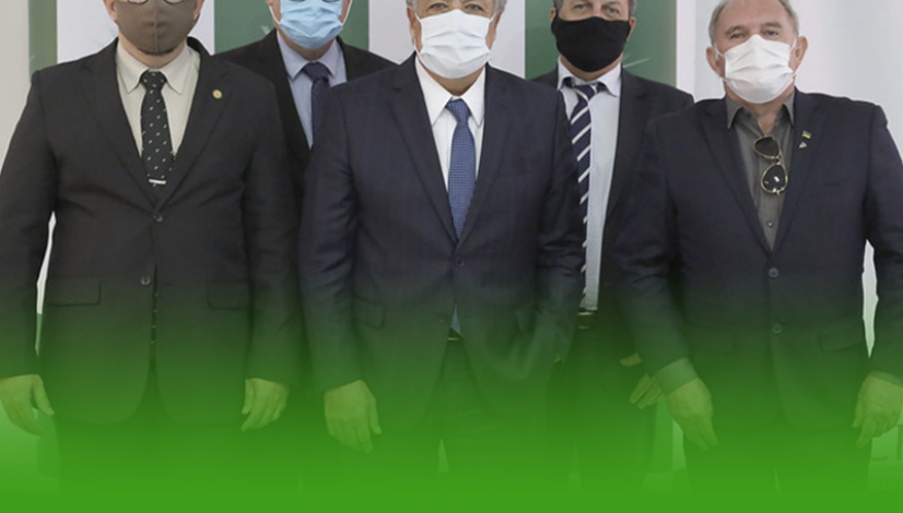 Câmara Técnica de Medicina Veterinária toma posse com foco na valorização profissional