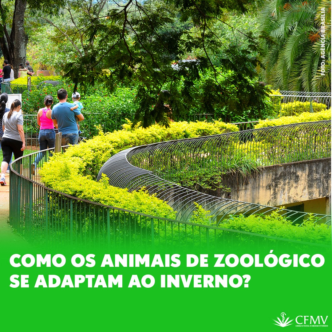Animais Zoológicos