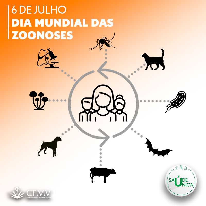 Animal doméstico passa doenças? Entenda 4 problemas transmitidos pelos pets  - 29/03/2019 - UOL VivaBem