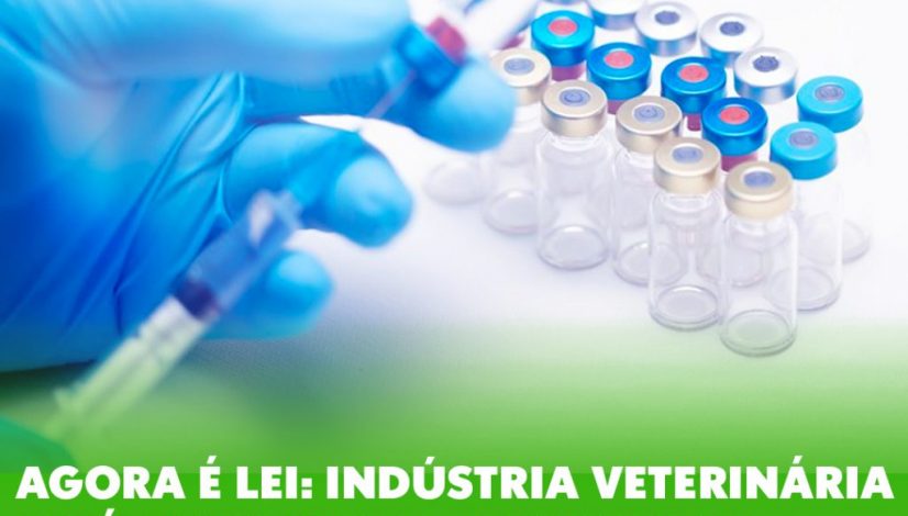 Agora é lei: indústria veterinária está autorizada a produzir vacina contra a covid-19