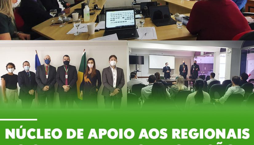 Núcleo de Apoio aos Regionais do CFMV realiza capacitação no CRMV-ES