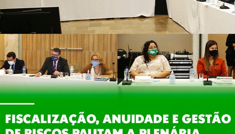 Fiscalização, anuidade e gestão de riscos pautam a plenária realizada em Natal