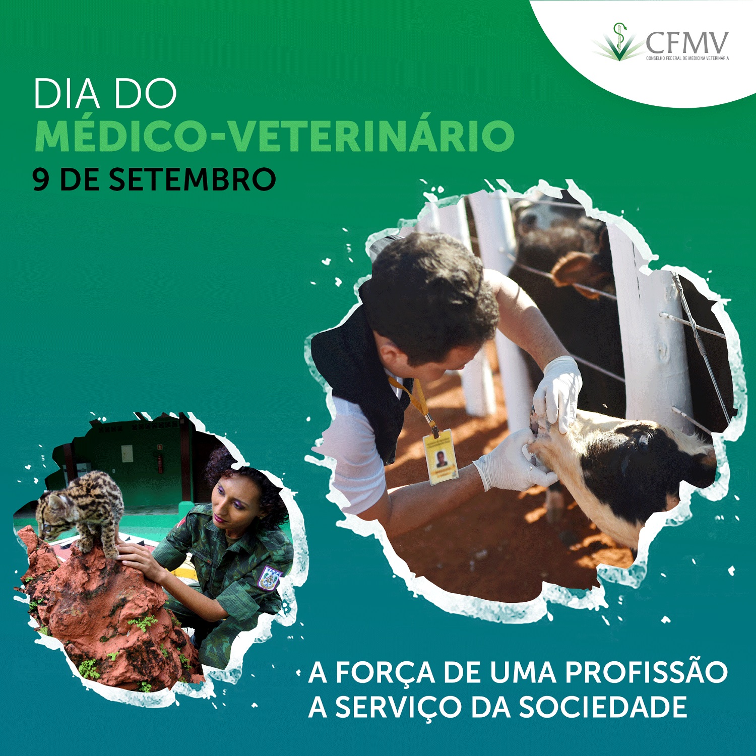 Dia do Médico-Veterinário 2019