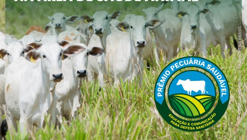 Prêmio Pecuária Saudável reconhece sete iniciativas na área de saúde animal