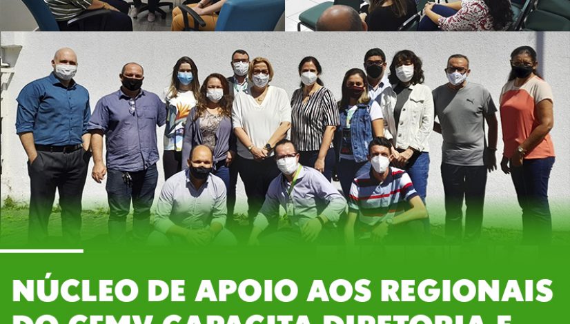 Núcleo de Apoio aos Regionais do CFMV capacita diretoria e colaboradores do CRMV-AL