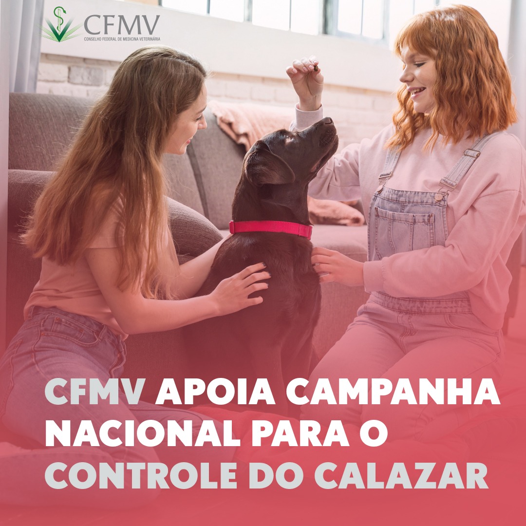 CFMV apoia campanha nacional para o controle do calazar