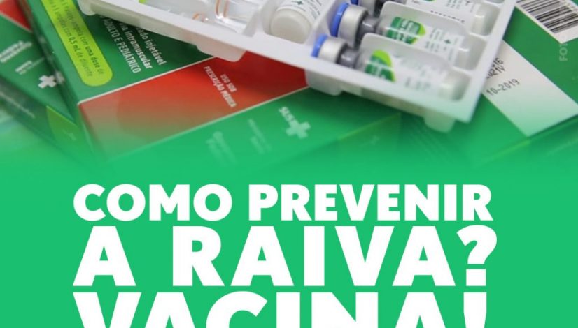 Como prevenir a raiva? Vacina!