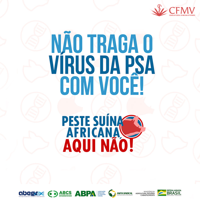 Ministério e associações promovem campanha para evitar que Peste Suína Africana atinja o Brasil