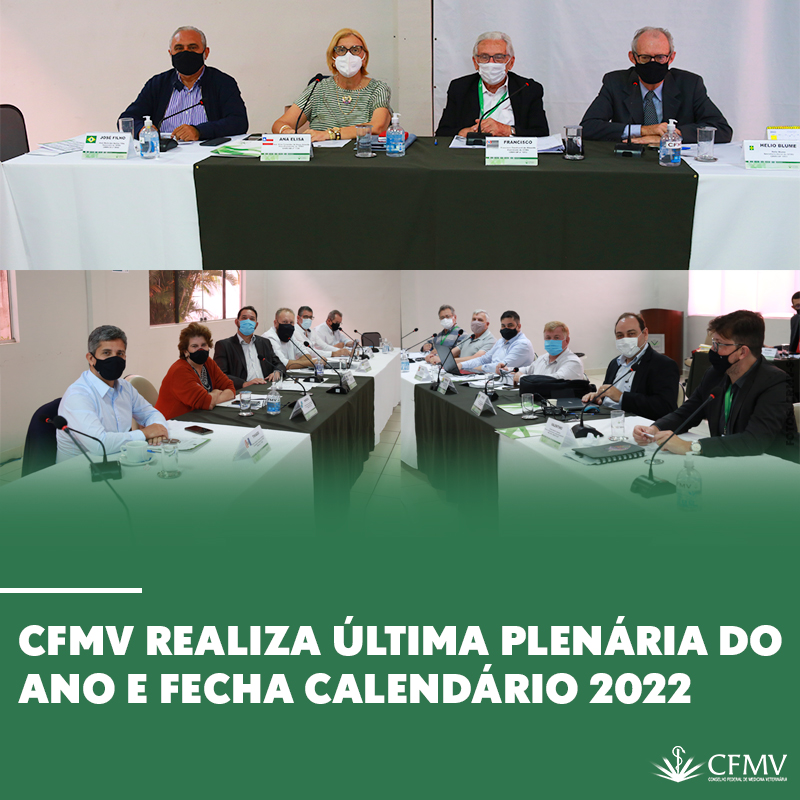 CFMV realiza última plenária do ano e fecha calendário 2022