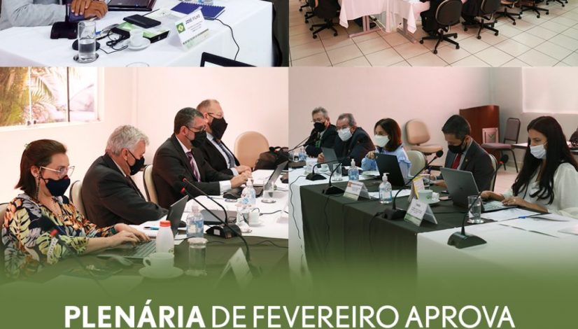 Plenária de fevereiro aprova representação brasileira na WVA