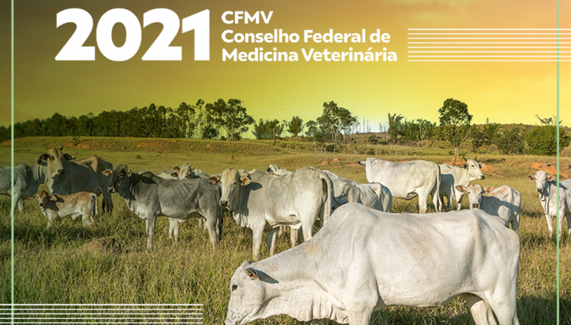 A união é a força do Sistema CFMV/CRMVs, indica o Relatório de Gestão de 2021