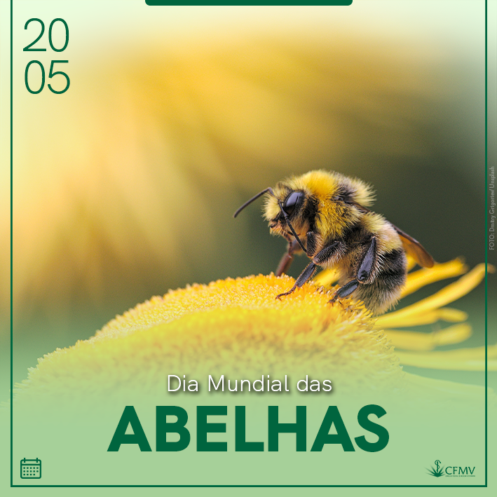 20 de maio, Dia Mundial das Abelhas
