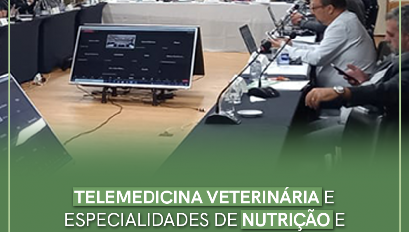 Telemedicina Veterinária e especialidades de nutrição e nutrologia para cães e gatos são aprovadas em plenária