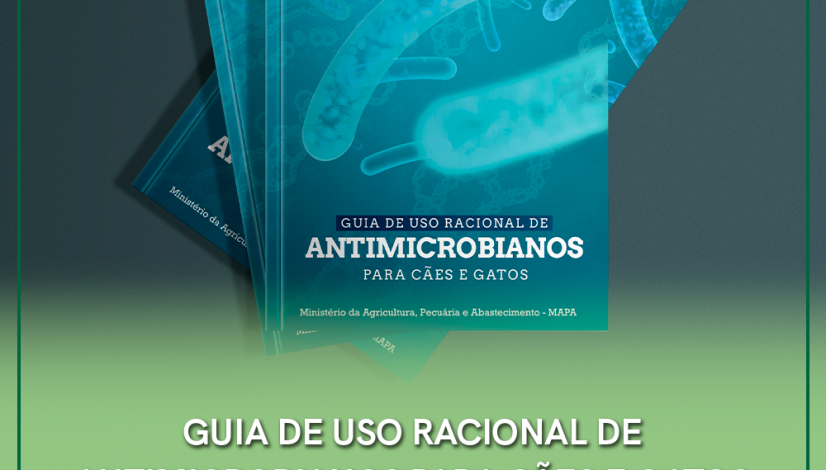Antimicrobianos destaque