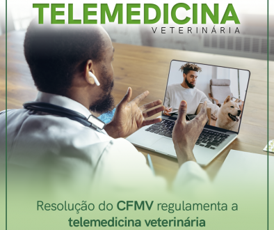 Resolução do CFMV regulamenta a telemedicina veterinária
