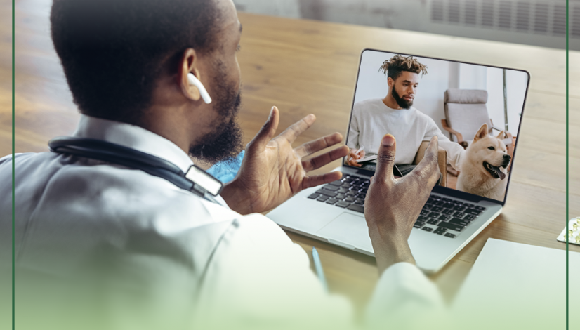 Resolução do CFMV regulamenta a telemedicina veterinária