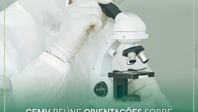 CFMV reúne orientações sobre a varíola dos macacos