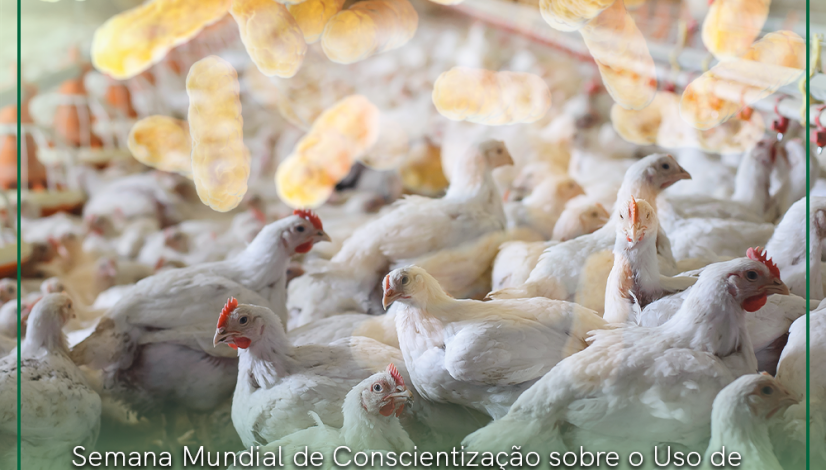 Semana Mundial de Conscientização sobre o Uso de Antimicrobianos vai de 18 a 24 de novembro