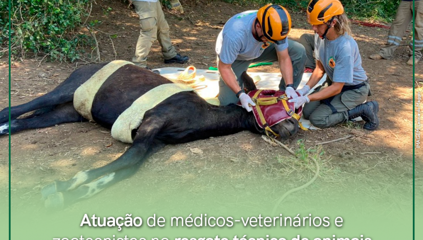 Resolução 1511