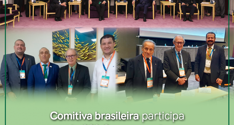 Comitiva brasileira no 38º Congresso da WVA