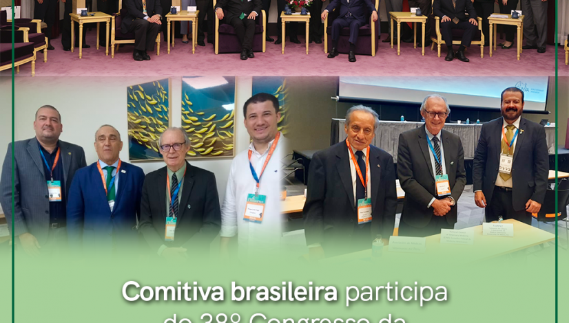 Comitiva brasileira no 38º Congresso da WVA