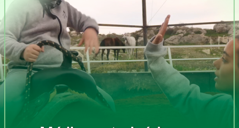 Médico-veterinário, um aliado da equoterapia