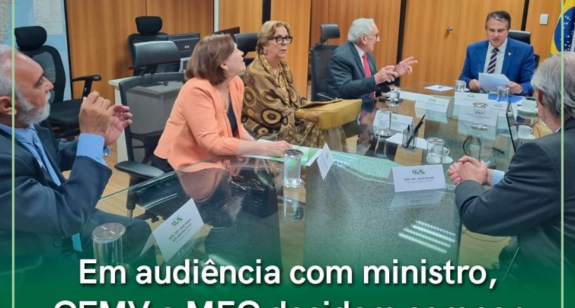 Reunião CFMV e MEC