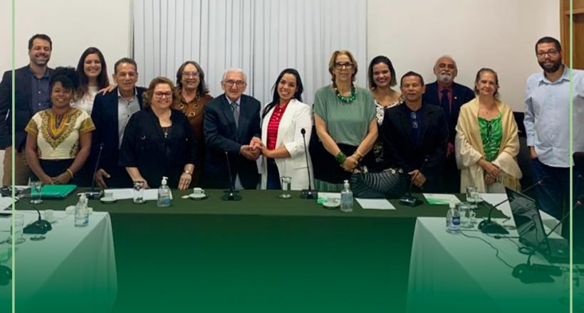 Membros dos conselhos federais da área de saúde reunidos no CFMV