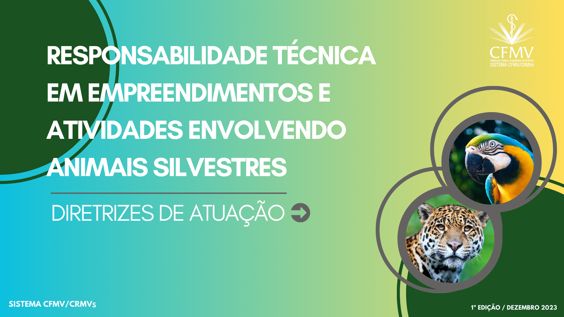 Diretrizes de RT