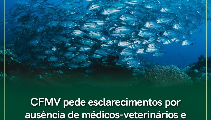 CFMV pede esclarecimentos por ausência de médicos-veterinários e zootecnistas em vagas do Ministério da Pesca e Aquicultura