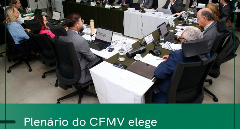 plenario cfmv