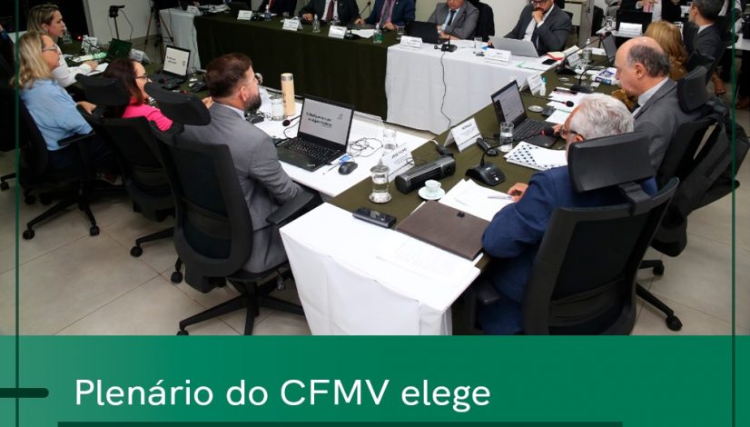 plenario cfmv