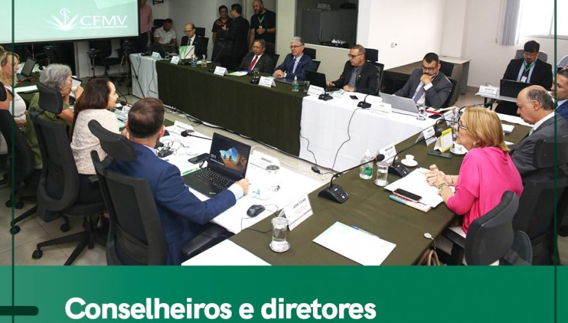 treinamento conselheiros