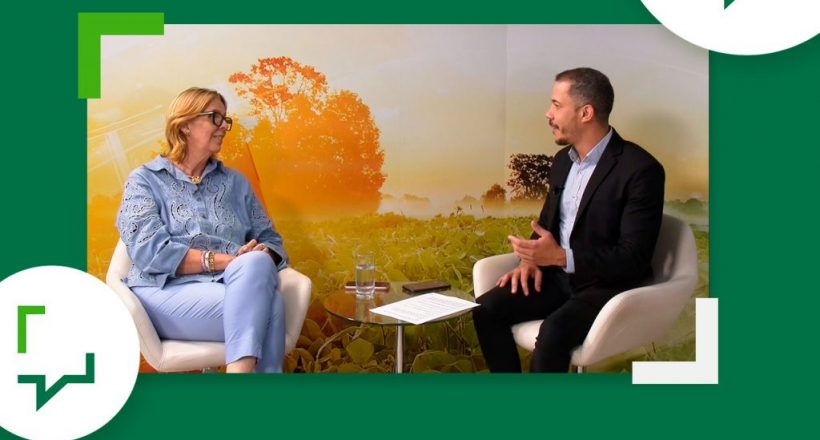 Estúdio-CFMV-100-dias-de-gestão