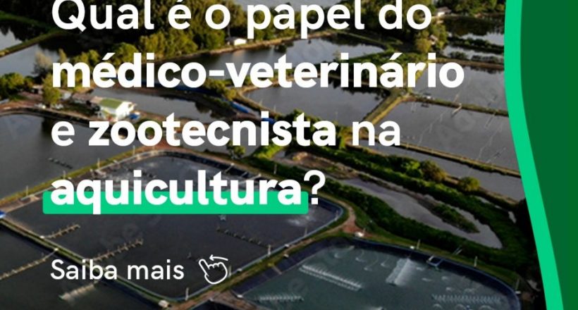 WhatsApp Image 2024-03-20 at 09.00.27