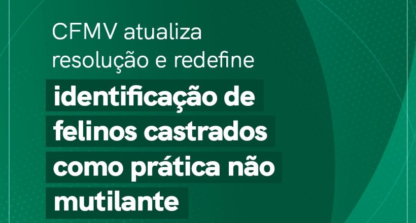 WhatsApp Image 2024-03-27 at 14.32.57