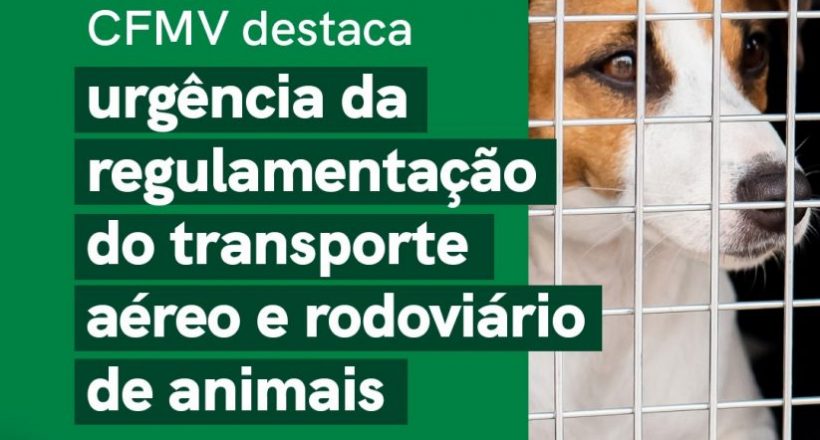 IMG-20240424-WA0121(1)