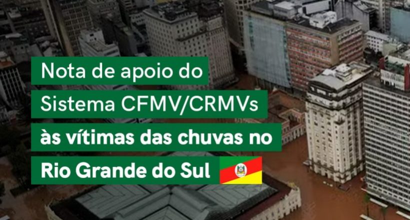 Apoio às vítimas da chuva no RS