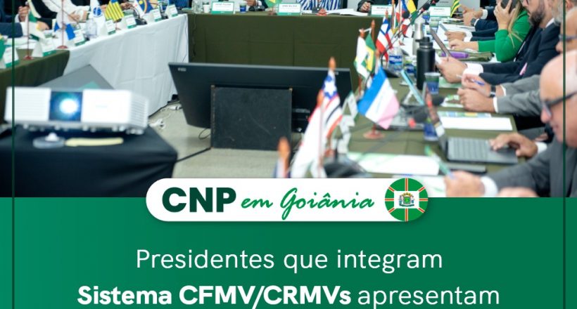 WhatsApp Image 2024-06-04 at 16.14.31