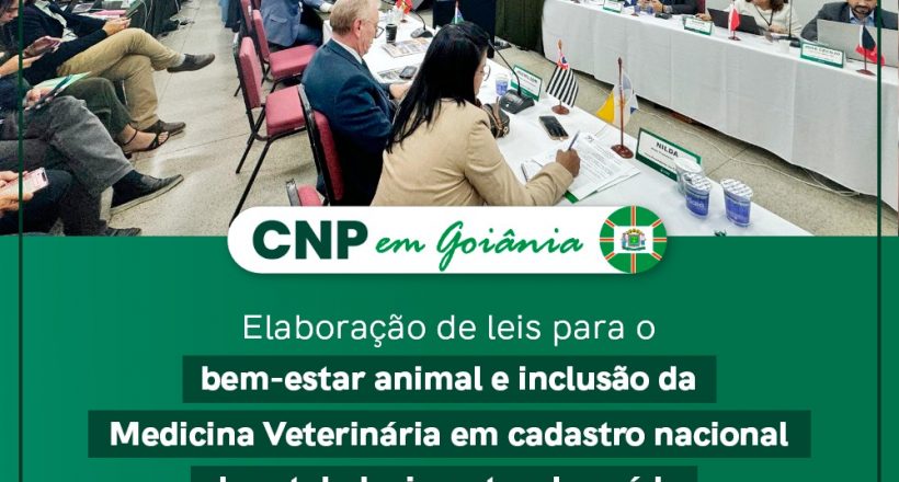 WhatsApp Image 2024-06-06 at 09.58.26