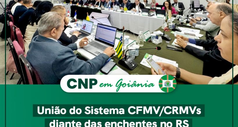 WhatsApp Image 2024-06-06 at 16.30.13