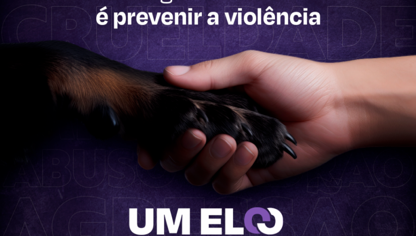 Card---Teoria-do-elo---Roxo