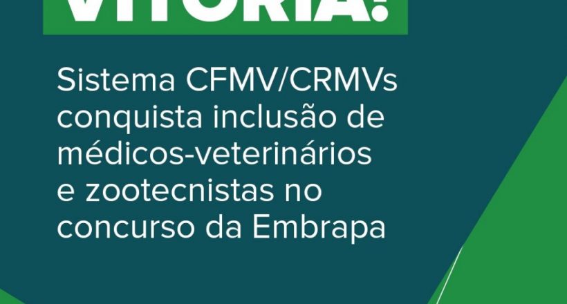 WhatsApp Image 2025-01-03 at 18.45.37