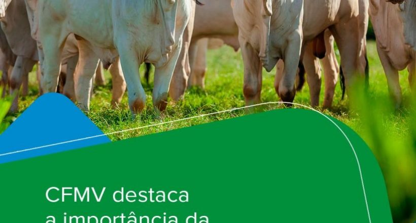 WhatsApp Image 2025-10-01 at 11.51.23