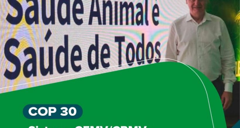 WhatsApp Image 2025-11-19 at 16.47.26