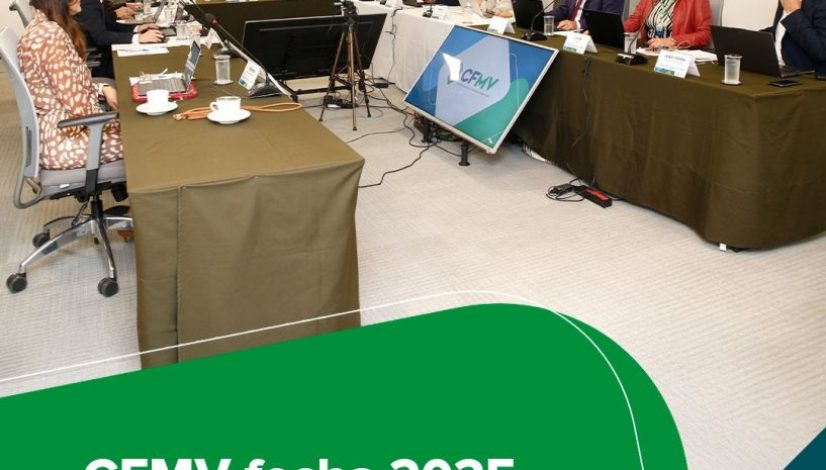CFMV fecha 2025 com avanços e consolida bases para o último ano da gestão