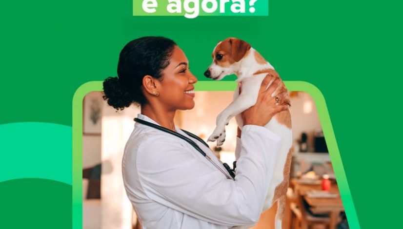 Resolução 1.690