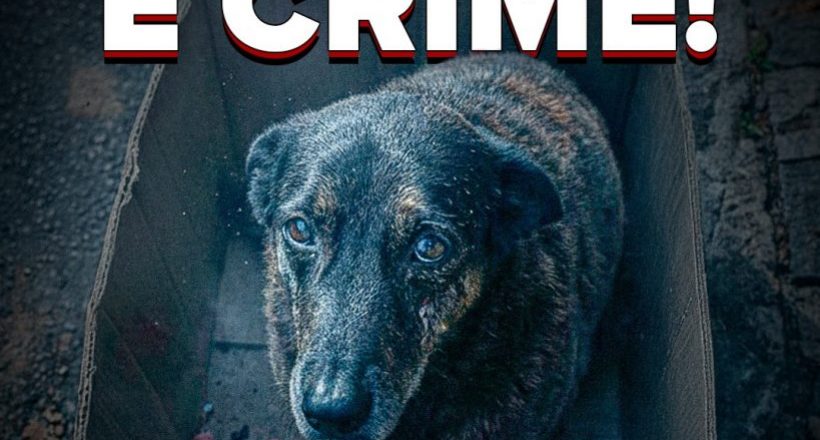 WhatsApp Image 2026-01-28 at 17.12.58