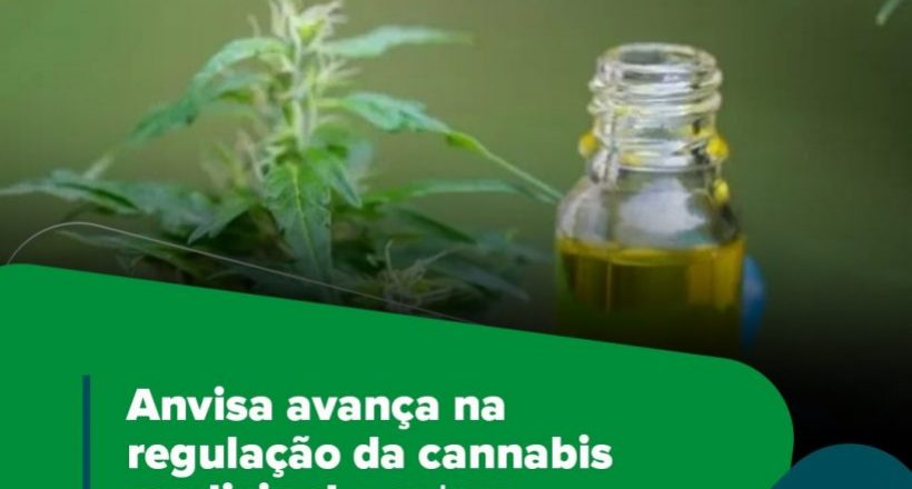 Anvisa avança na regulação da cannabis medicinal e coloca a saúde animal no centro do debate.